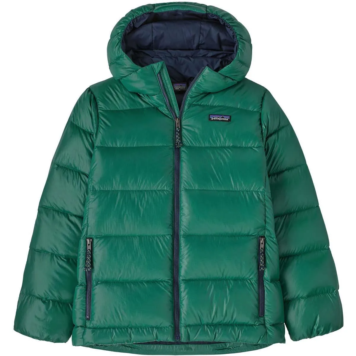 Kids’ Patagonia Hi-Loft Down Sweater Hoody | WinterKids