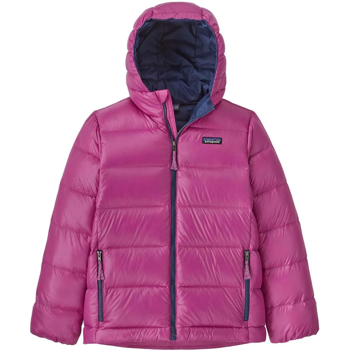 Kids’ Patagonia Hi-Loft Down Sweater Hoody | WinterKids